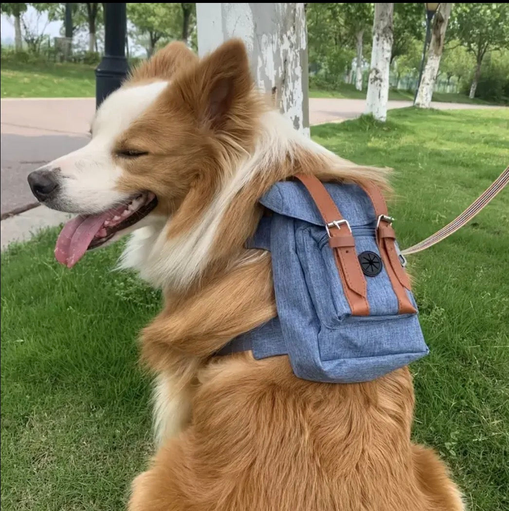 Doggy Backpack
