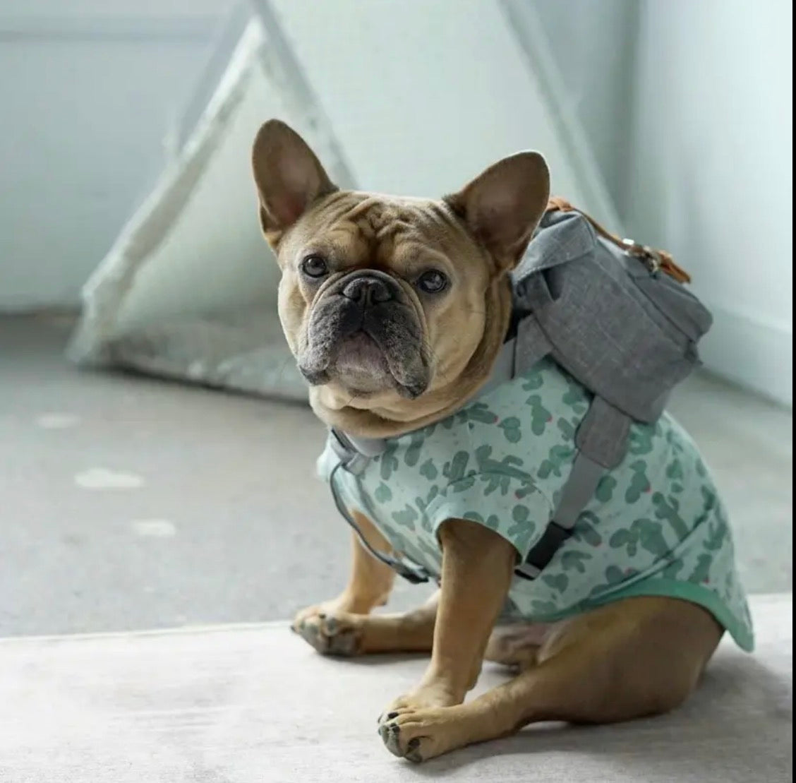 Doggy Backpack